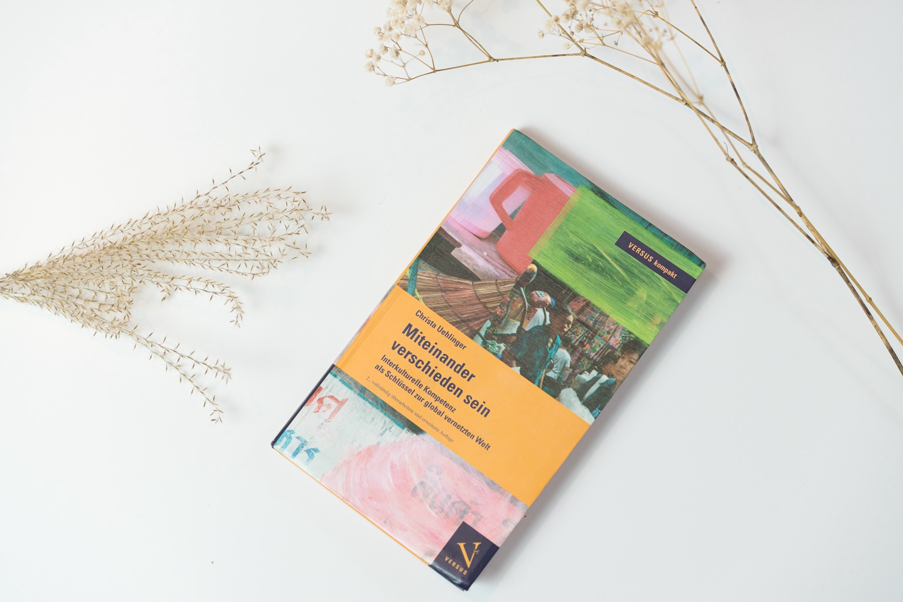 Christa Uehlinger Book Being Different Together